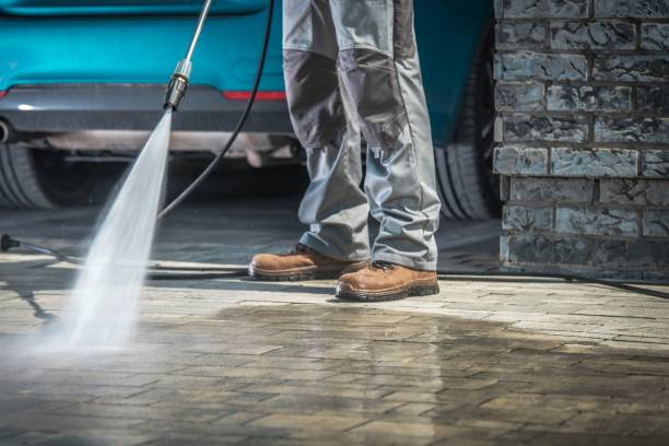 Best Roof Washing  in North Bellmore, NY